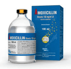 Amoxicillin (Bioveta) - GulfDrug