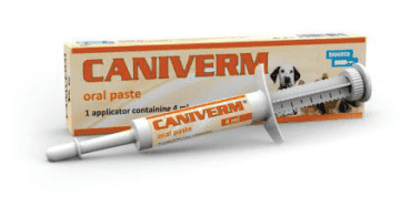 CANIVERM PASTE BIOVETA - GulfDrug